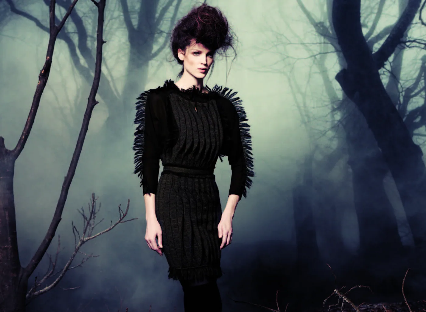 Fall Winter 2011–12, look 9